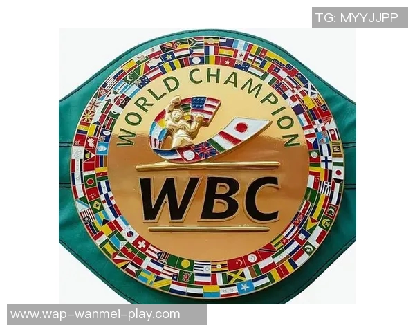 图阿与霍利菲尔德的巅峰对决谁将书写拳坛新传奇