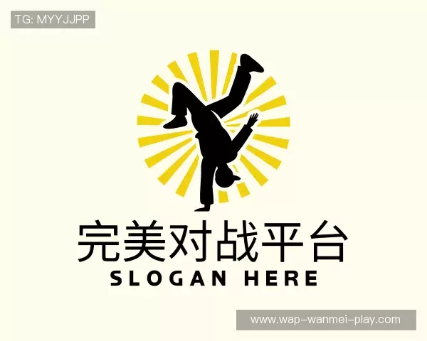 发现完美对战平台